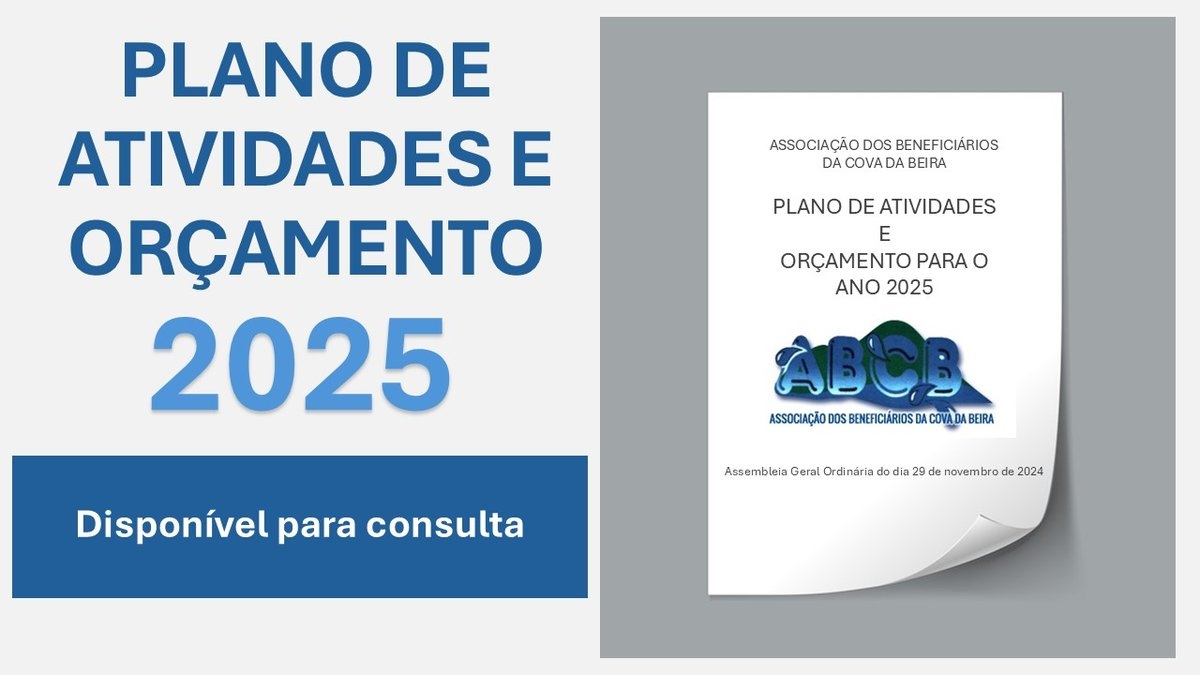 Plano de Atividades e Oramento 2025
