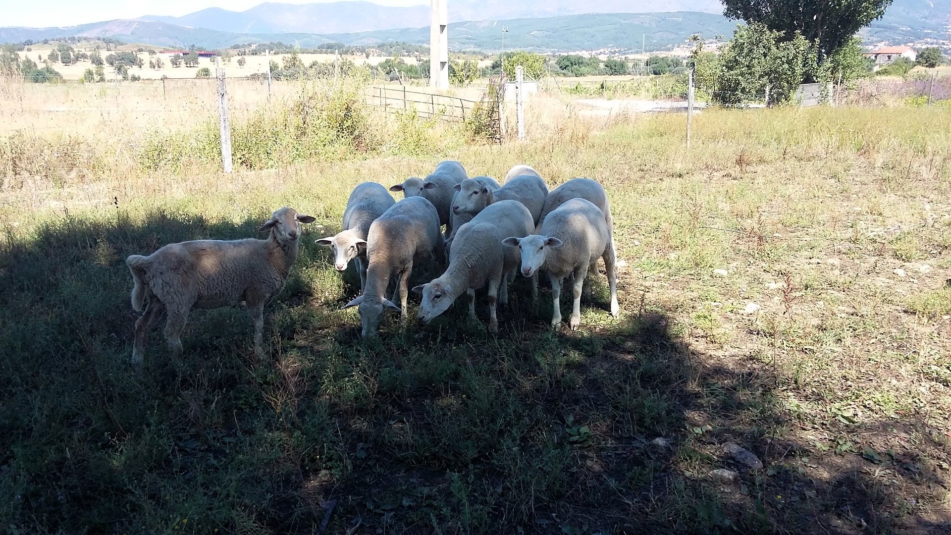 Pedido de Utilizao de gua Permanente