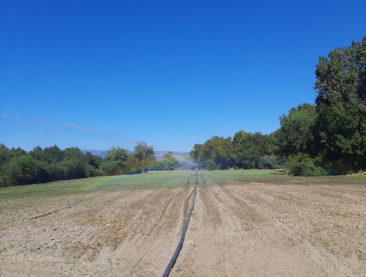 Uso Eficiente da �gua