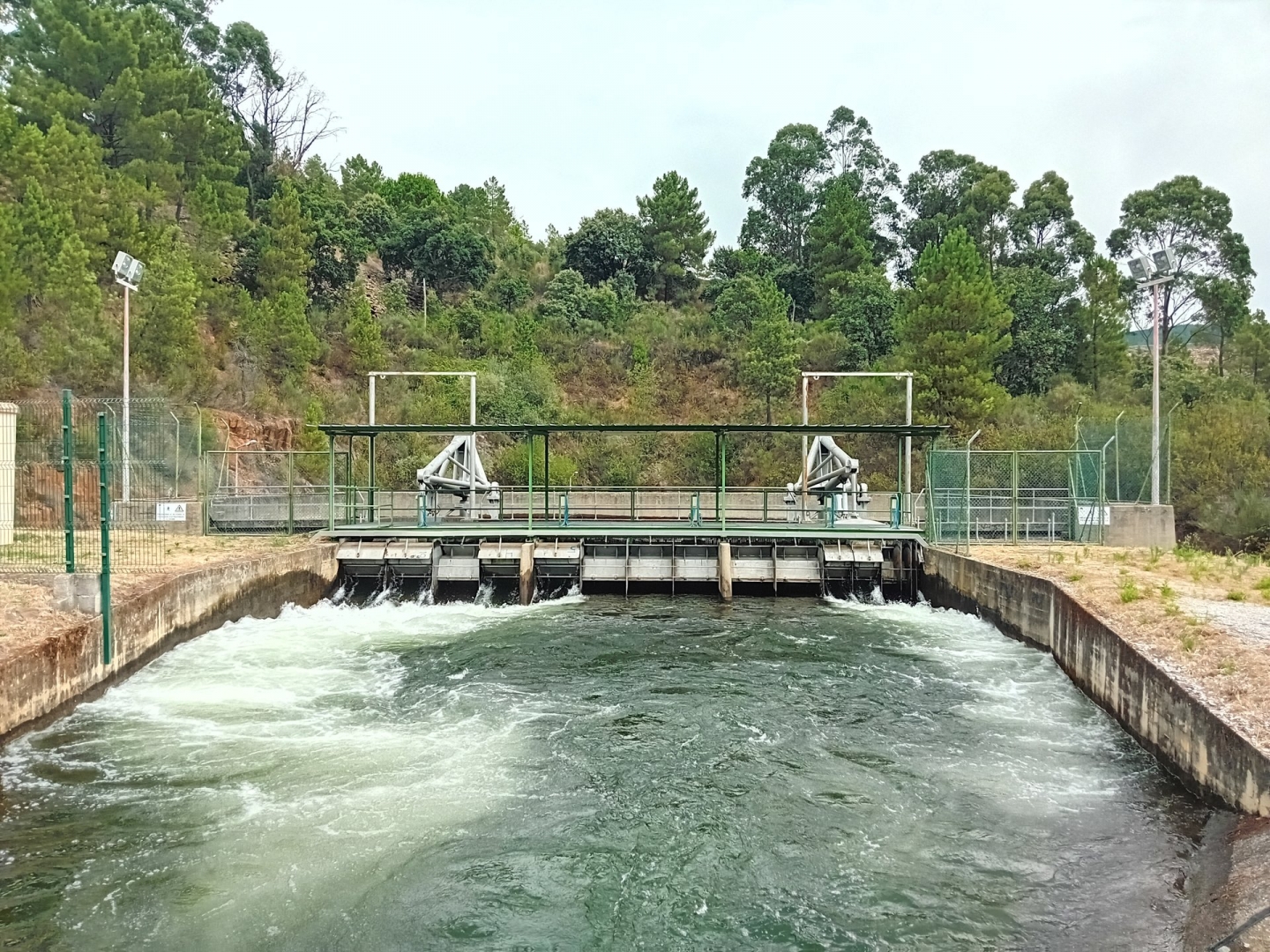 Campanha de Rega 2026